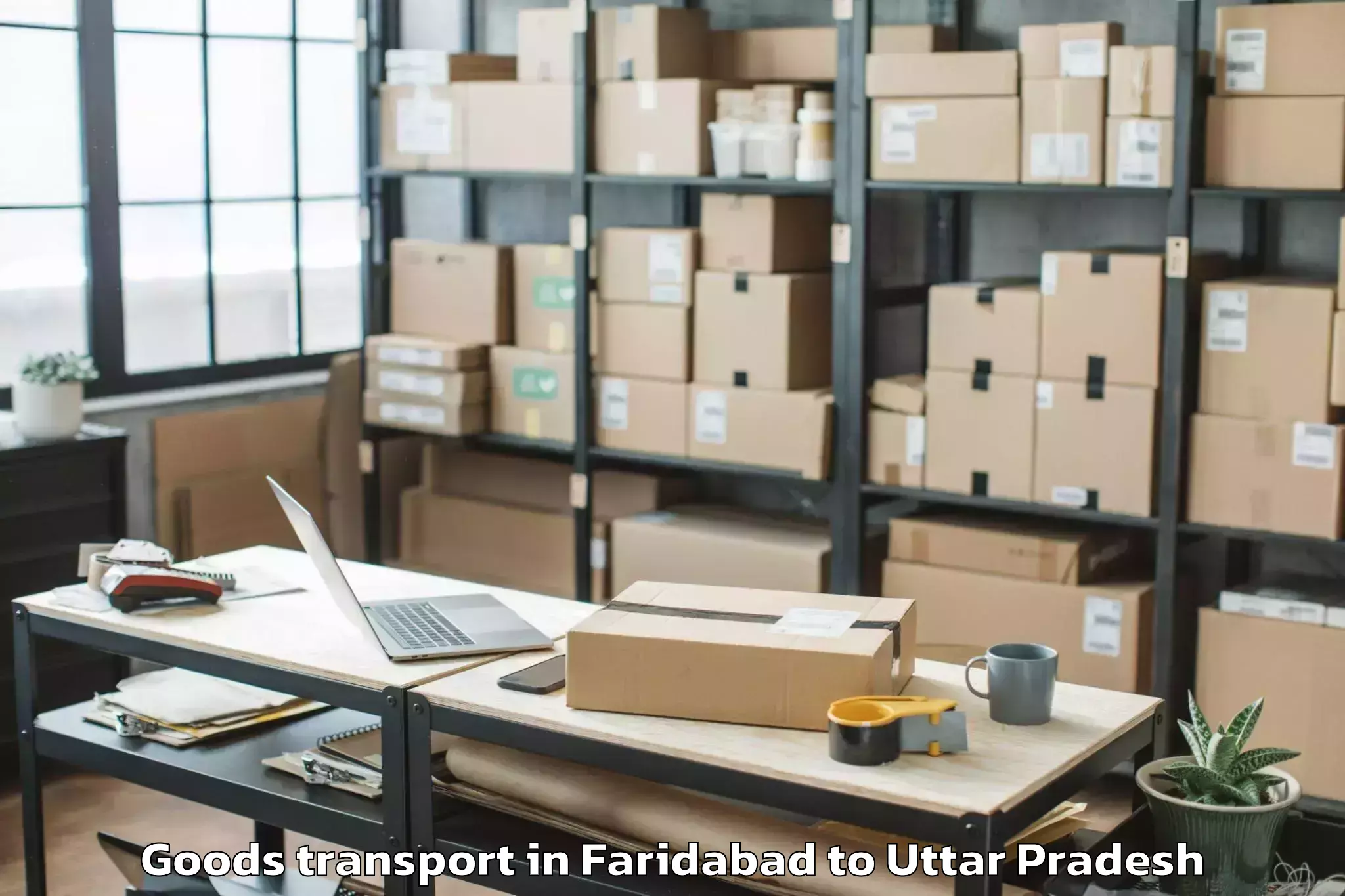 Book Faridabad to Konch Goods Transport